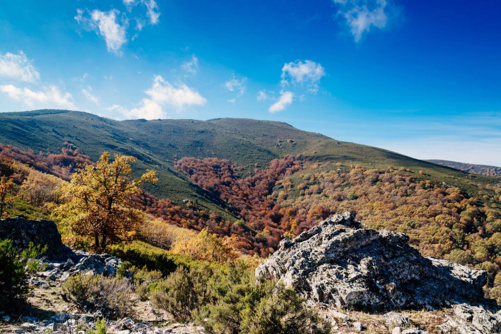 FV Broker Inmobiliario indica que hay varios lugares para pasear en la zona noroeste de Madrid. Disfruta de la naturaleza.