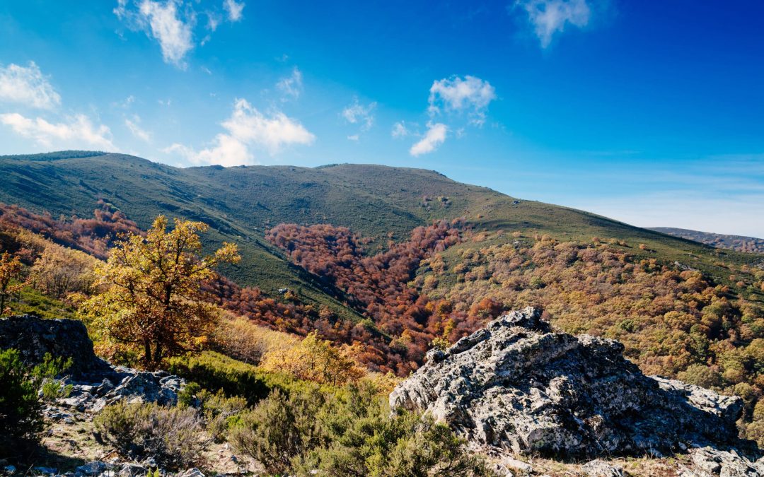 FV Broker Inmobiliario indica que hay varios lugares para pasear en la zona noroeste de Madrid. Disfruta de la naturaleza.