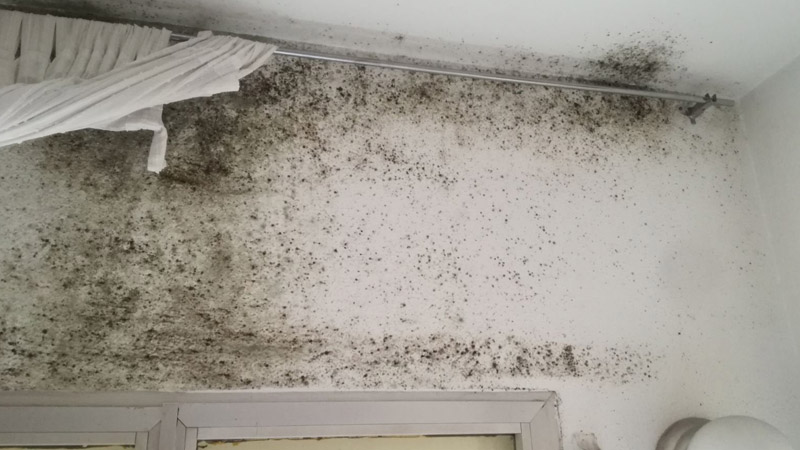 FV Broker Inmobiliario indica uno de los riesgos de una vivienda con humedad: el valor de la vivienda baja considerablemente.